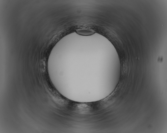 X0000088850183200706291503