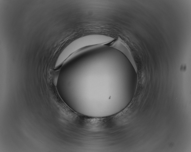 X0000088850184200706291503