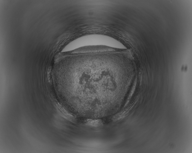 X0000088850185200706291503