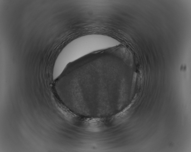 X0000088850186200706291503