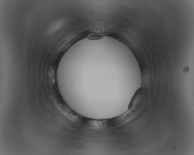 X0000088850187200706291503