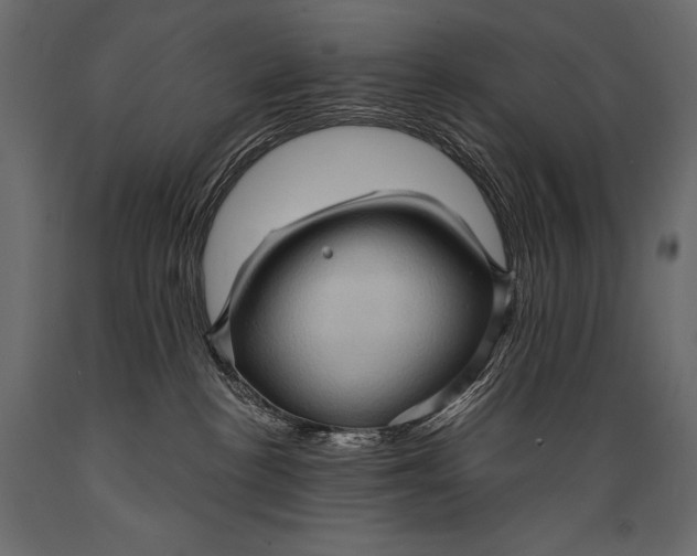 X0000088850188200706291503