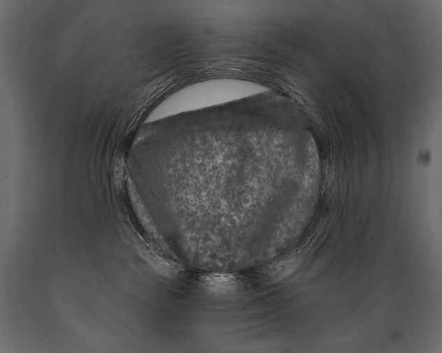 X0000088850189200706291504