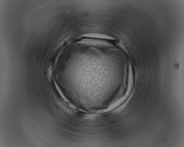 X0000088850190200706291504