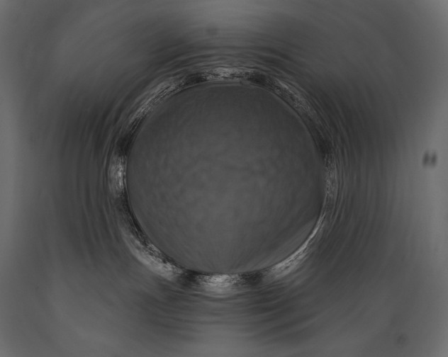 X0000088850191200706291504