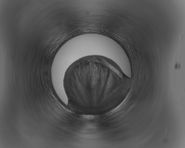 X0000088850192200706291504