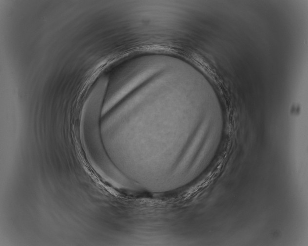 X0000088850193200706291503