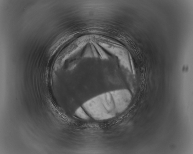 X0000088850194200706291503