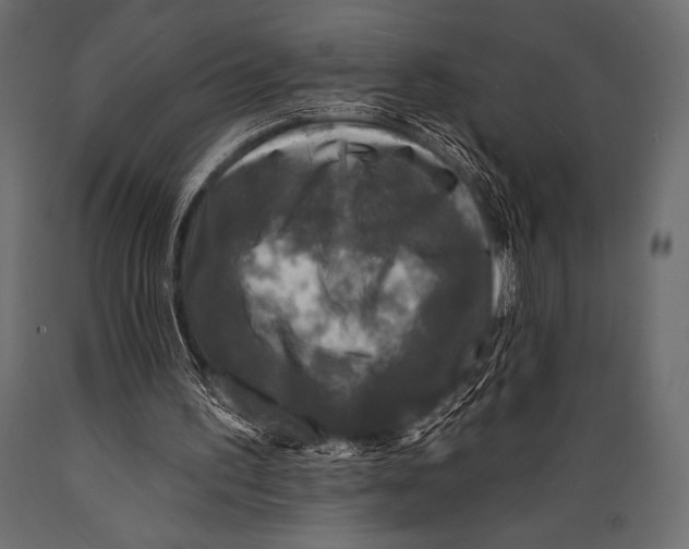 X0000088850195200706291503