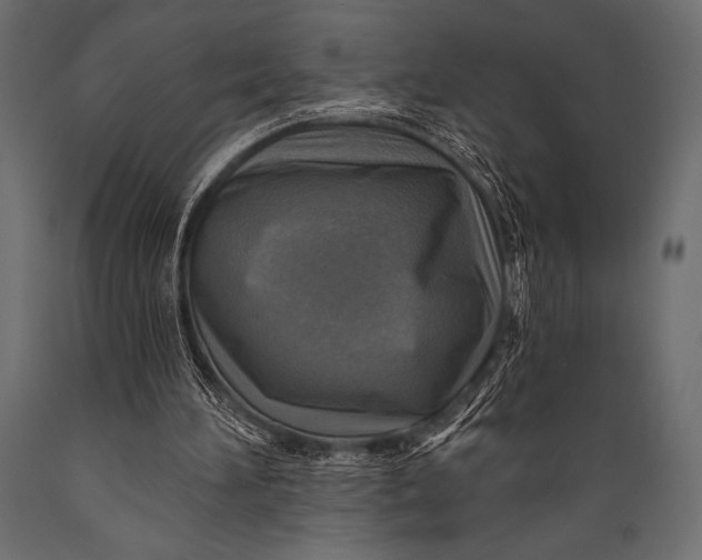 X0000088850196200706291503