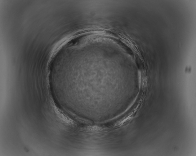 X0000088850197200706291503