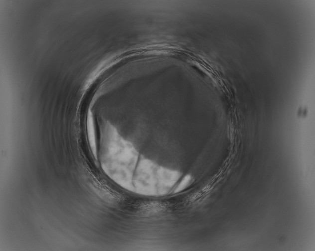 X0000088850198200706291503