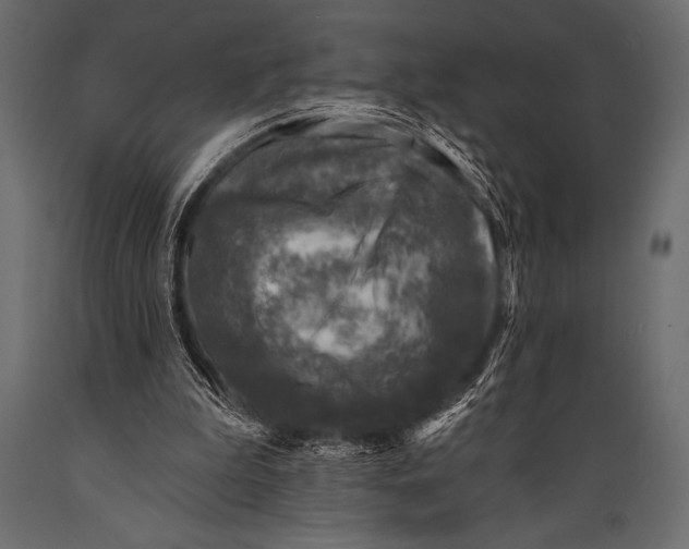 X0000088850199200706291503