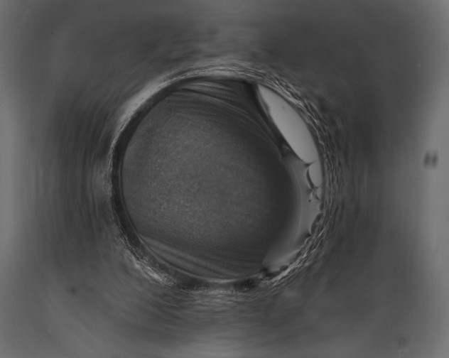 X0000088850200200706291503