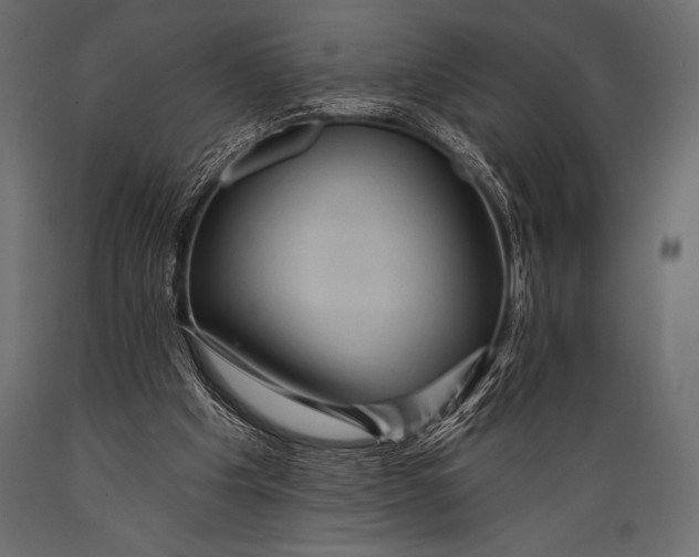 X0000088850201200706291503