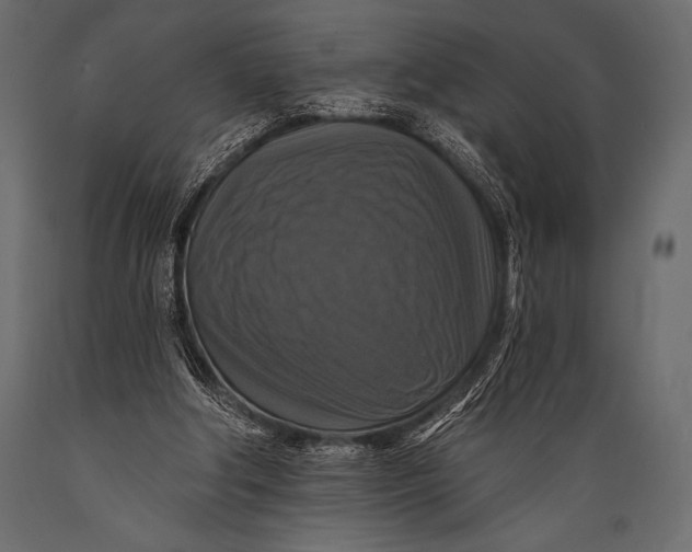 X0000088850202200706291503