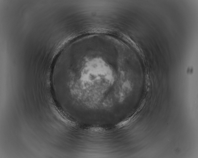 X0000088850203200706291503