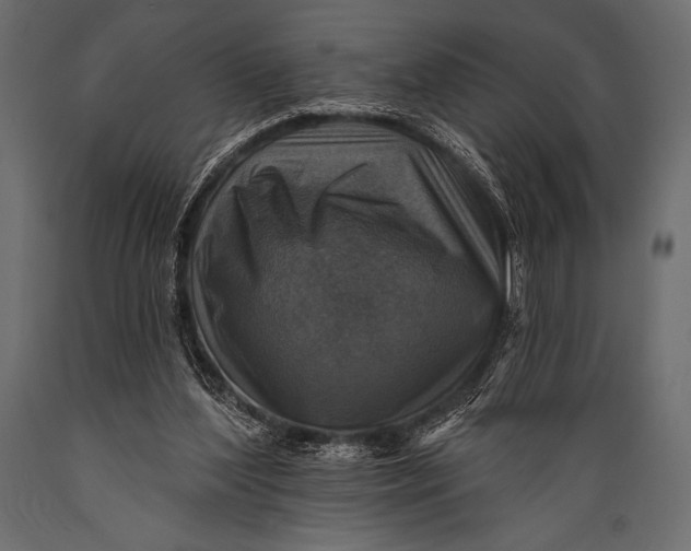 X0000088850204200706291503