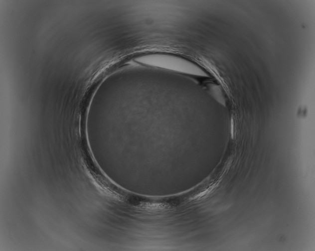 X0000088850205200706291503