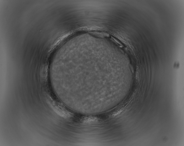 X0000088850206200706291503