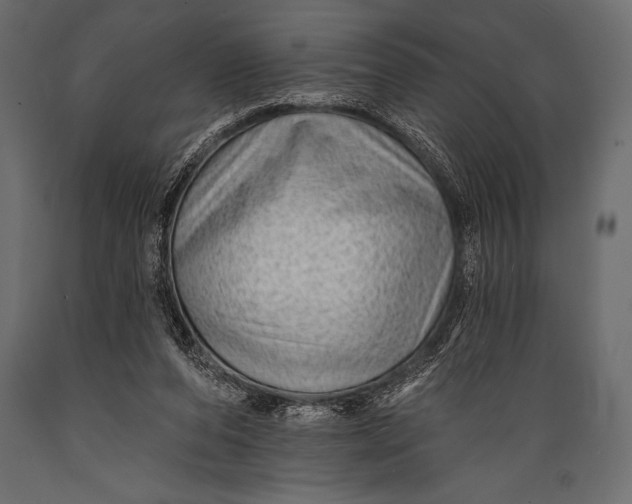 X0000088850208200706291503