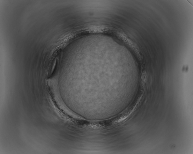 X0000088850209200706291503