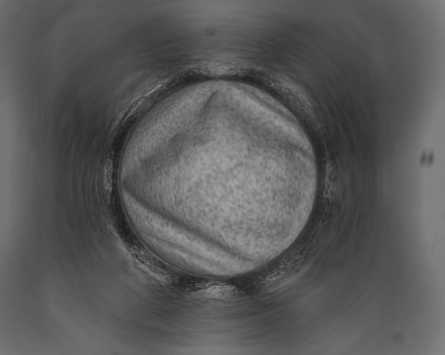 X0000088850210200706291503