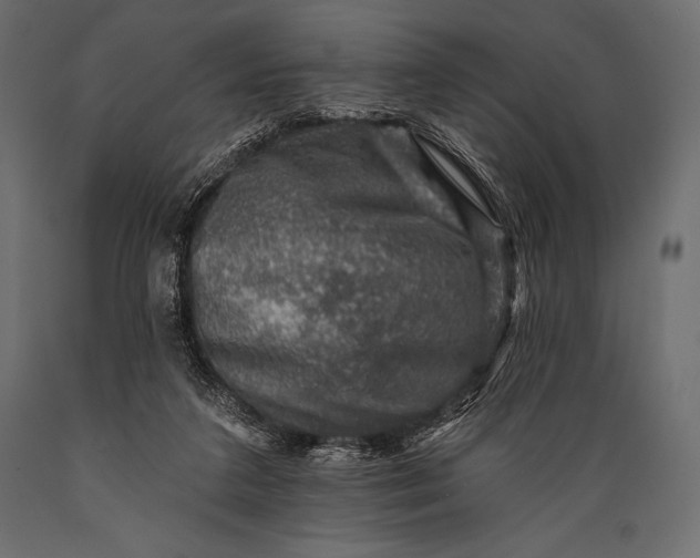 X0000088850211200706291503