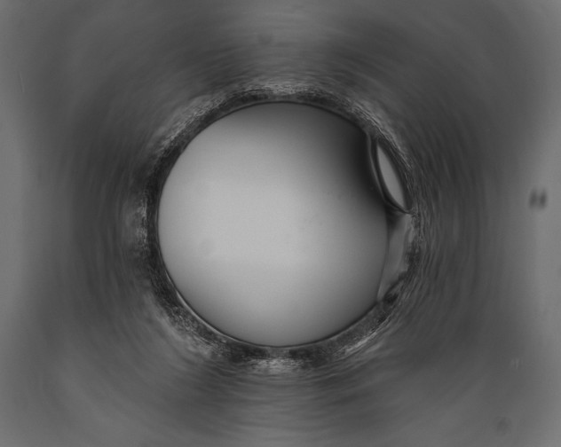 X0000088850212200706291503