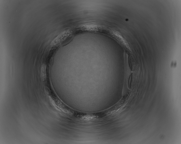 X0000088850213200706291503