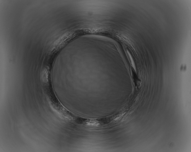 X0000088850214200706291503