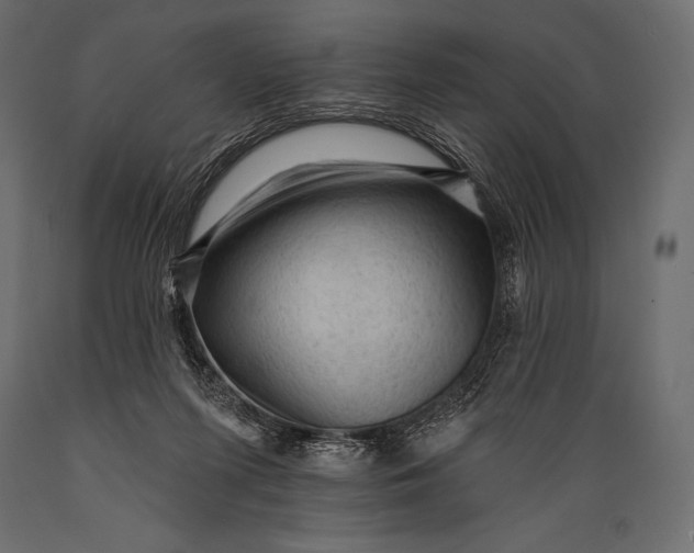 X0000088850215200706291503