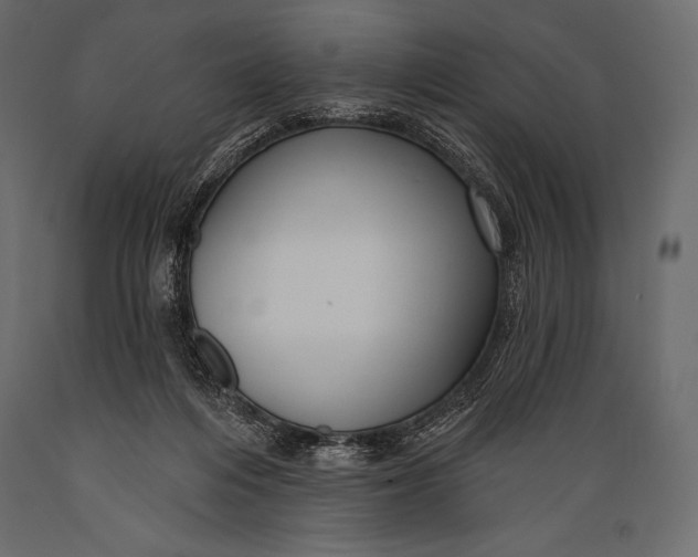 X0000088850216200706291503