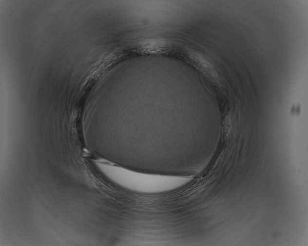 X0000088850217200706291503