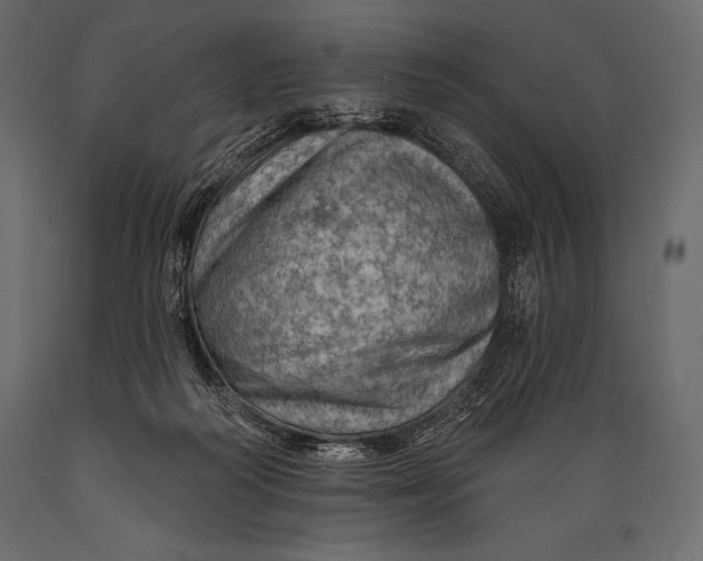 X0000088850218200706291503