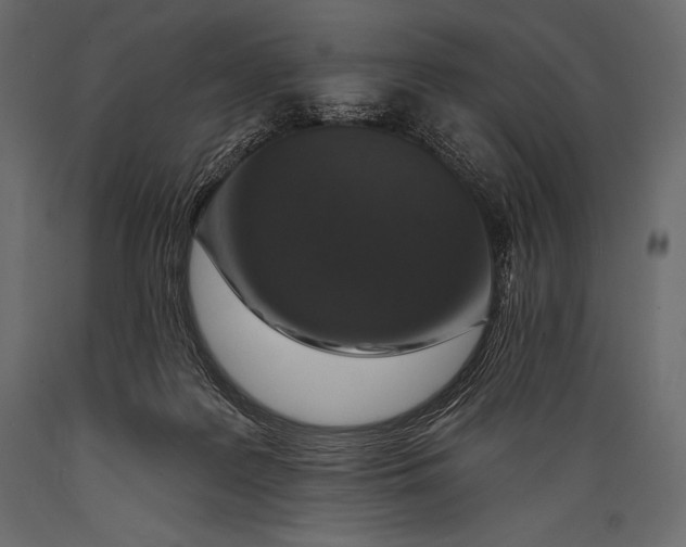 X0000088850219200706291503