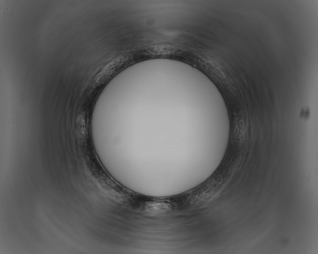 X0000088850220200706291503