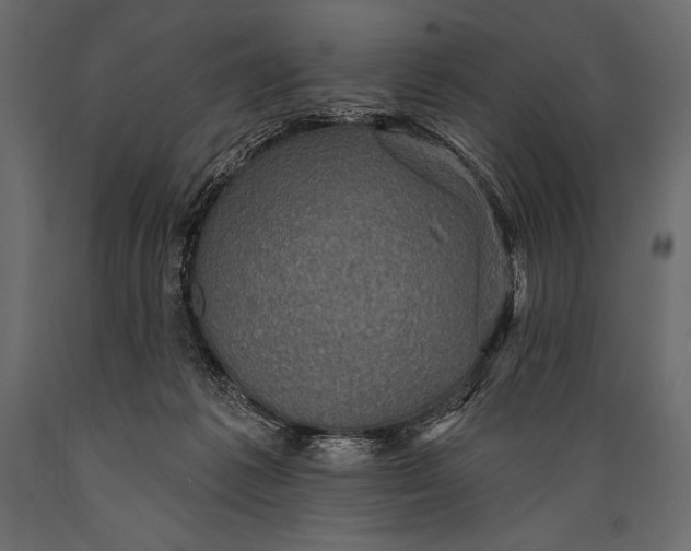 X0000088850221200706291502