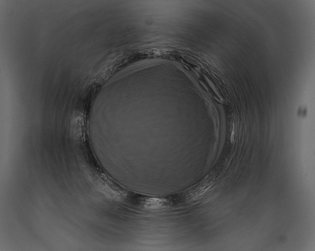 X0000088850222200706291502