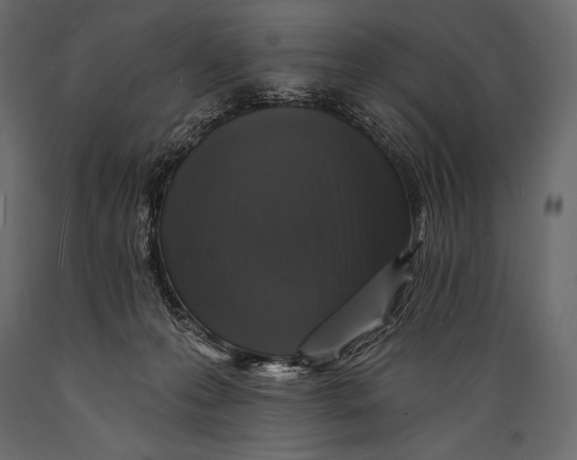 X0000088850223200706291502