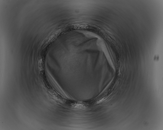 X0000088850224200706291502