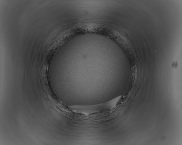 X0000088850225200706291502