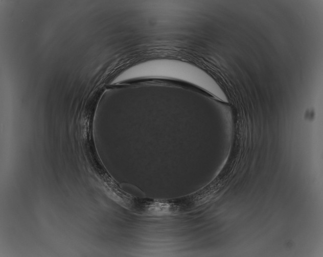 X0000088850227200706291502