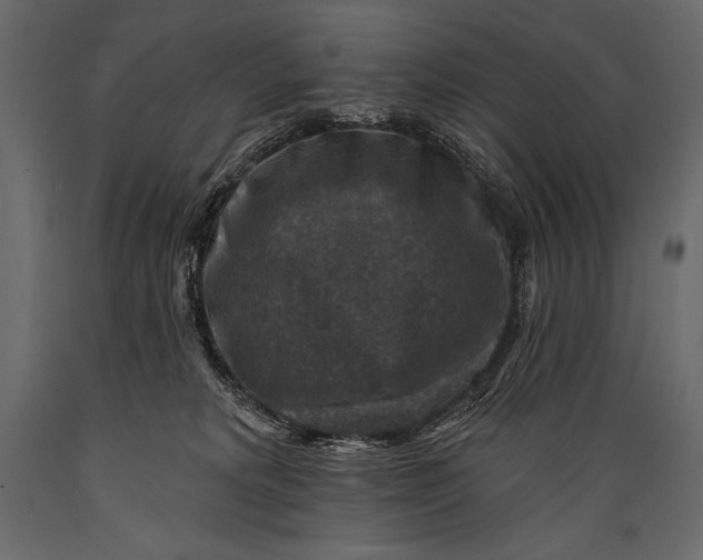 X0000088850229200706291502