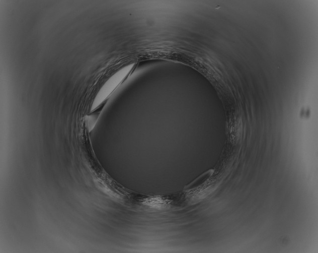 X0000088850231200706291502