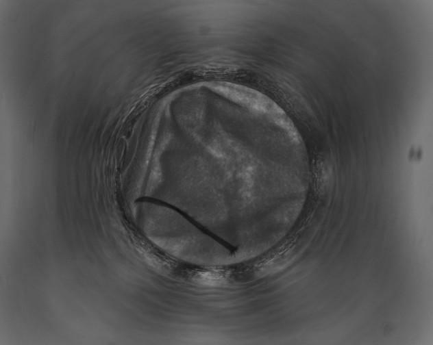 X0000088850232200706291502