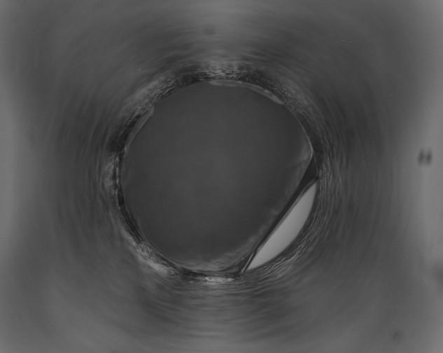 X0000088850233200706291502