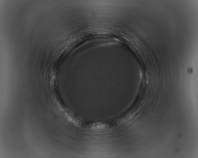 X0000088850235200706291502