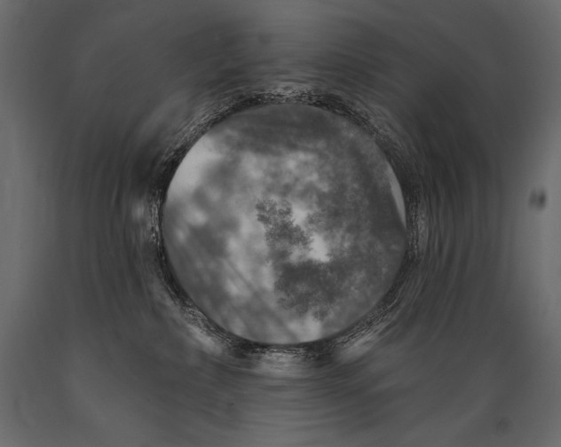 X0000088850236200706291502