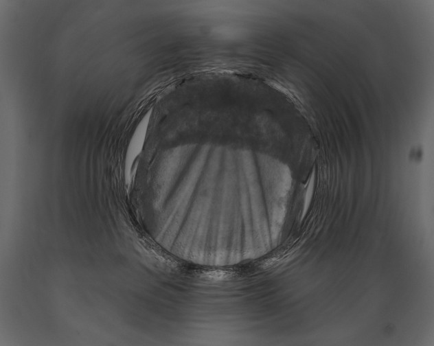 X0000088850237200706291502